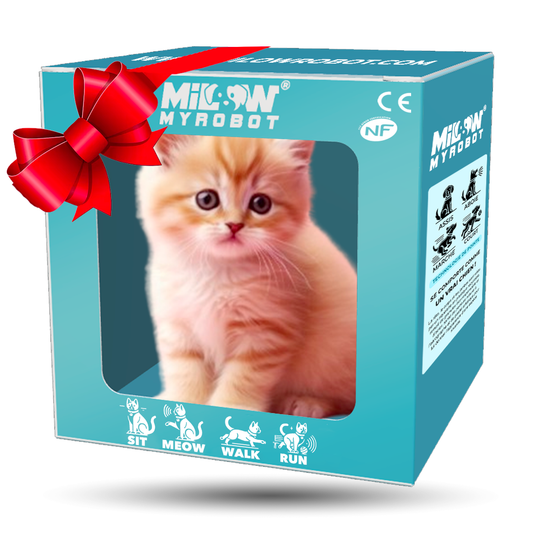 Mily - My Realistic Kitten Robot