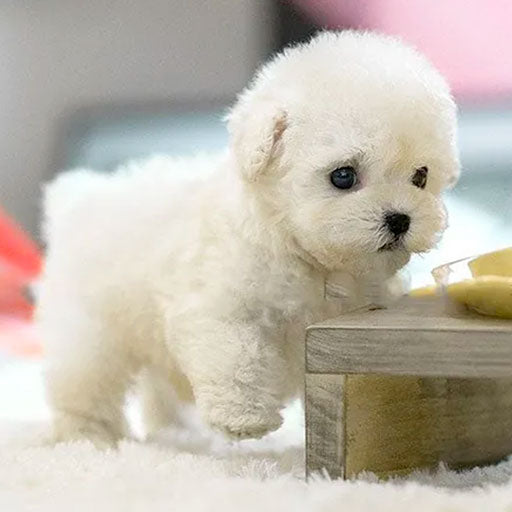 Milow - My Realistic Robot Puppy